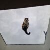 Flat Rooflight <span>1400 x 800mm</span> - Image 4