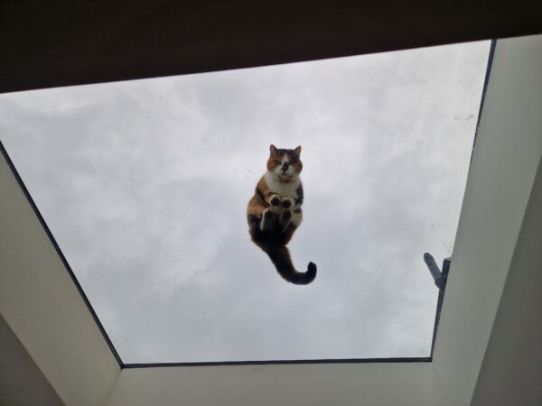 Flat Rooflight <span>1400 x 800mm</span> - Image 4